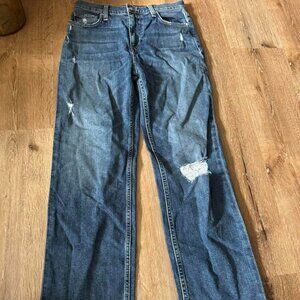 Hudson Remi‎ Straight Ankle Jeans Size 27